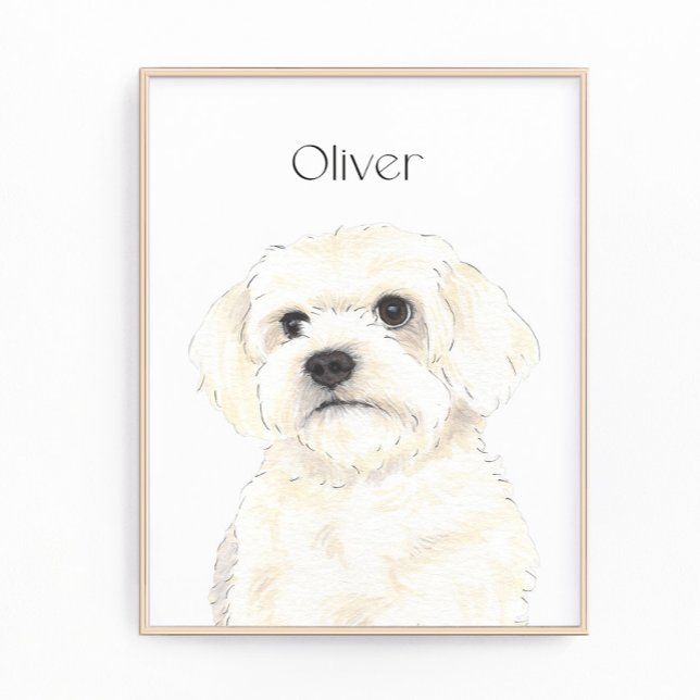 Impression Photo Bichon, Bologne, Coton, Havanais, Art maltais (Créateur téléchargé)