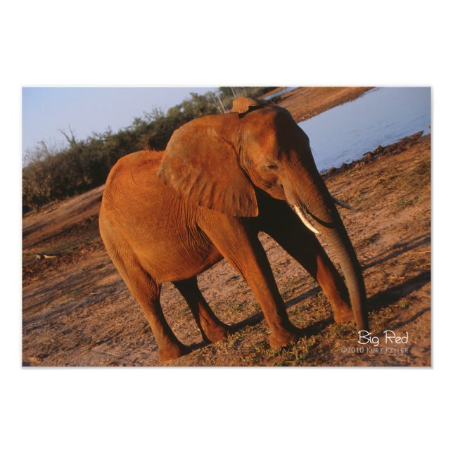 Impression Photo Big Red (Devant)