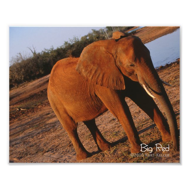 Impression Photo Big Red (Devant)