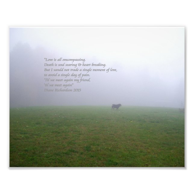 Impression Photo Bill In The Fog, une ode aux amis canins disparus (Devant)