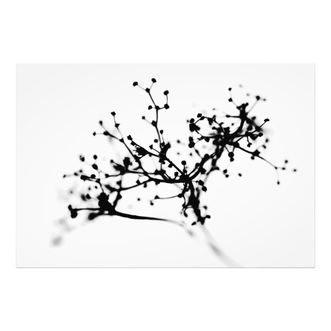 Impression Photo Biochimie de l'hiver (Devant)