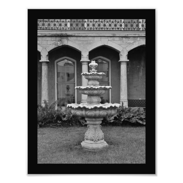 Impression Photo Birdbath (Devant)