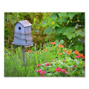 Impression photo Birdhouse