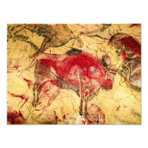 Impression Photo Bisons à Altamira (Espagne)   Artiste inconnu  