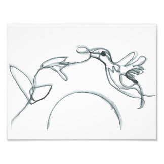 Impression Photo Black Hummingbird