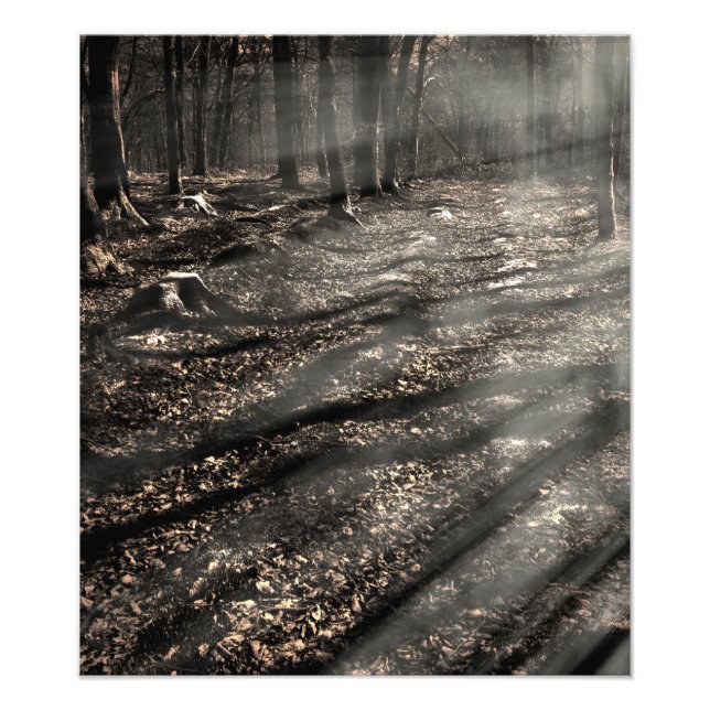 Impression Photo Blair Witch....là-bas ! (Devant)