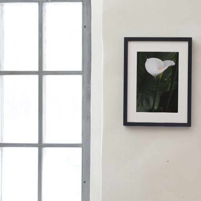 Impression Photo Blanc Calla Lily et Feuille foncé (In Situ Framed)