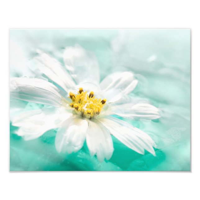 Impression Photo Blanc Fleur Bleu Etang d'eau Aqua Turquoise (Devant)