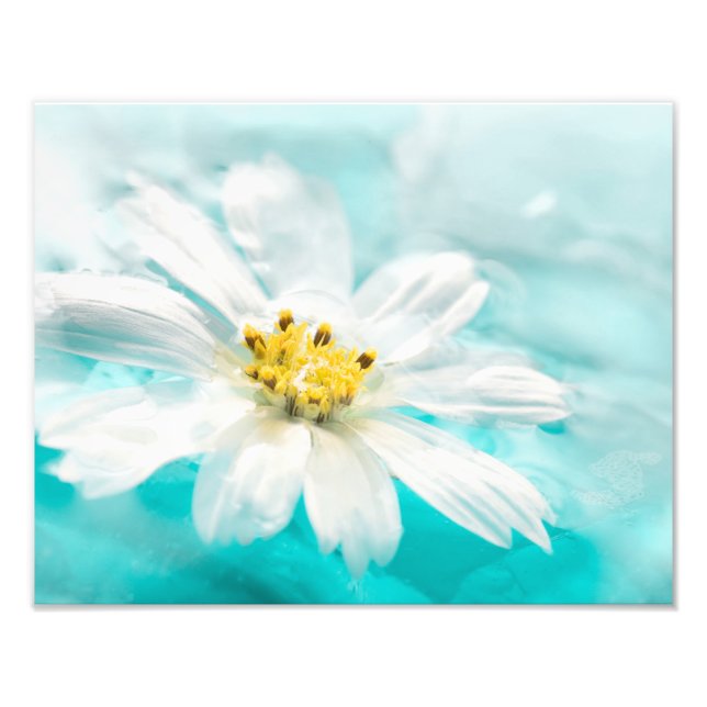 Impression Photo Blanc Fleur Bleu Etang d'eau Tropical (Devant)