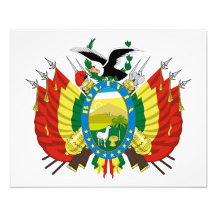 Impression Photo Blason national de la Bolivie symbole emblème drap