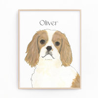 Blenheim Cavalier King Charles Spaniel