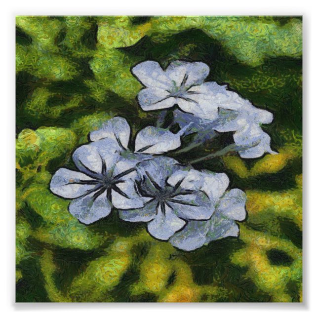 Impression Photo Bleu Bleu Bleu Plumbago (Devant)