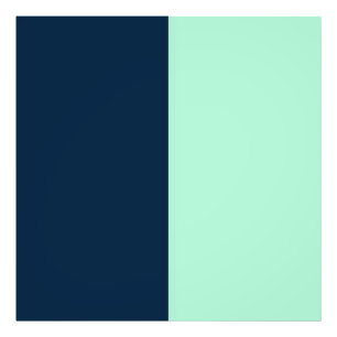 Impression Photo Bleu de marin et menthe