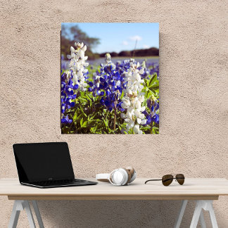 Impression Photo Bleu et blanc Bluebonnets Paysage Satin Finition