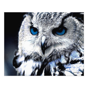 Impression Photo Bleu Oiseau d'art Imprimer