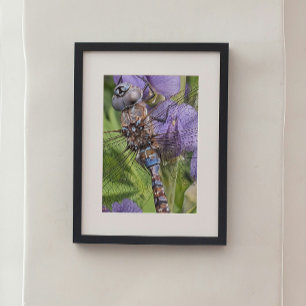 Impression Photo Bleu-Oyé Denton sur Flower