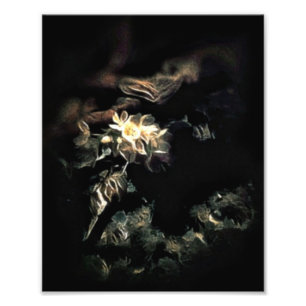 Impression Photo Bloomed