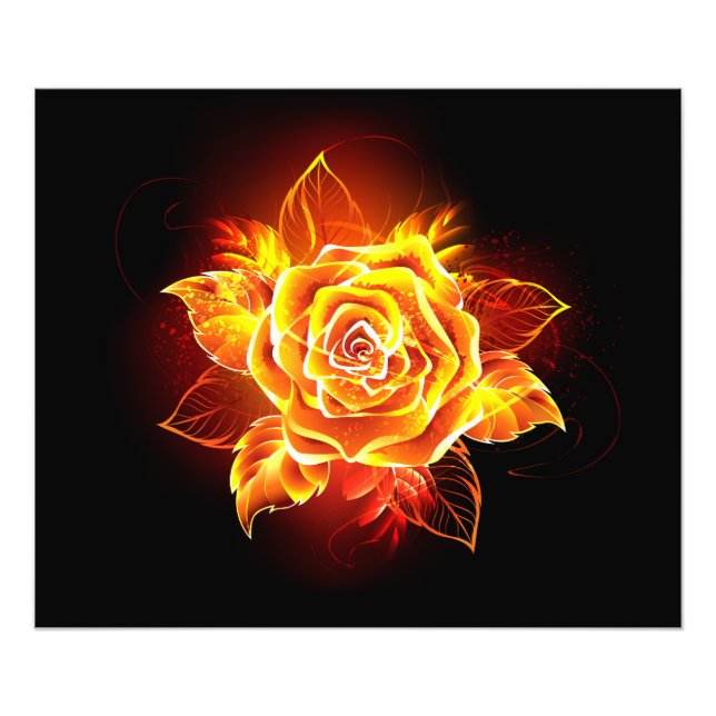 Impression Photo Blooming Fire Rose (Devant)