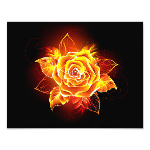 Impression Photo Blooming Fire Rose