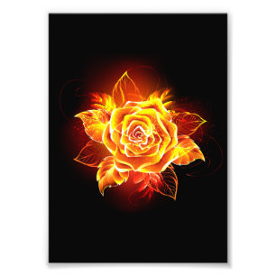 Impression Photo Blooming Fire Rose