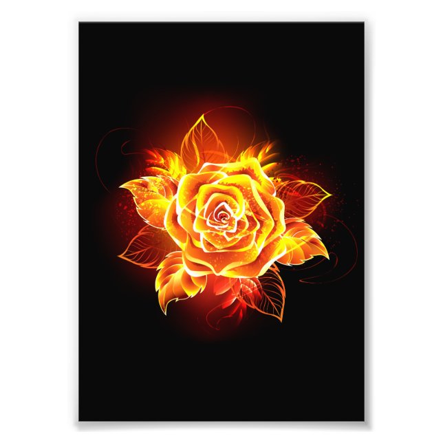 Impression Photo Blooming Fire Rose (Devant)