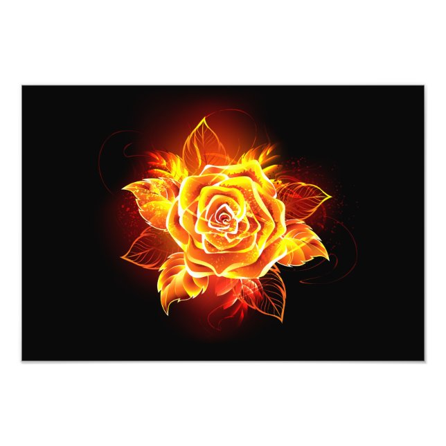 Impression Photo Blooming Fire Rose (Devant)