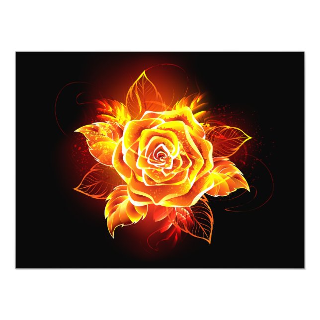 Impression Photo Blooming Fire Rose (Devant)