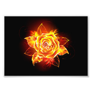 Impression Photo Blooming Fire Rose