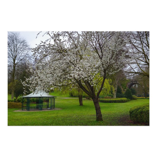 Impression Photo Blossom (Devant)