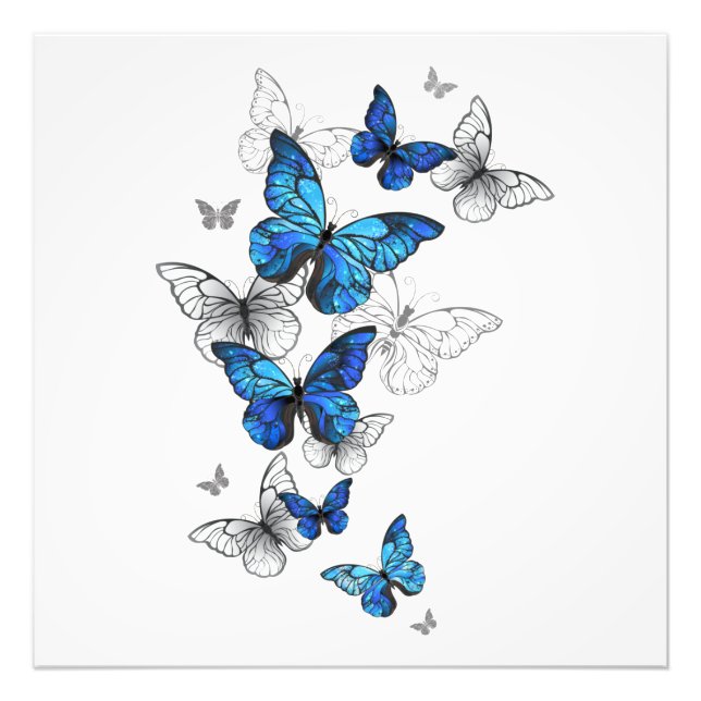 Impression Photo Blue Flying Butterflies Morpho (Devant)