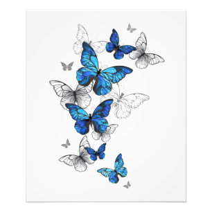 Impression Photo Blue Flying Butterflies Morpho