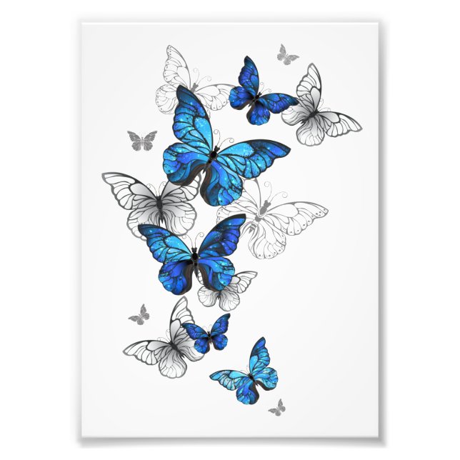 Impression Photo Blue Flying Butterflies Morpho (Devant)