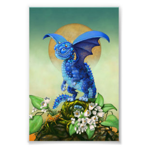 Impression Photo Blueberry Dragon 4x6 Imprimer