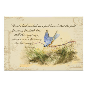 Impression Photo Bluebird Bird sur une branche Victor Hugo Poem