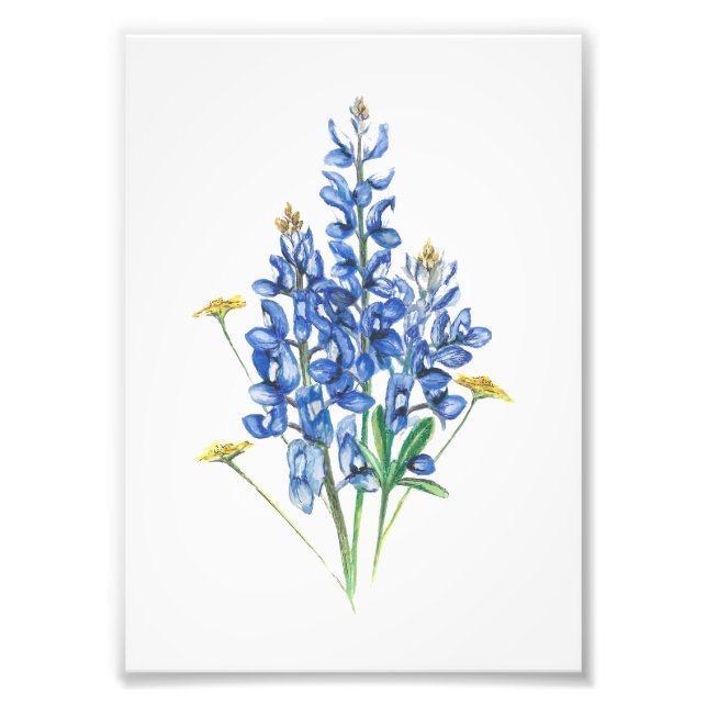Impression Photo Bluebonnet et Fleur sauvage (Devant)