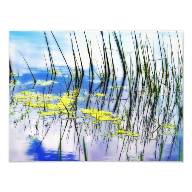 Impression Photo Blues et Grass (Devant)
