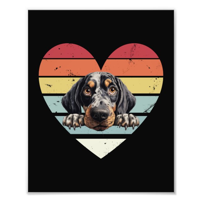 Impression Photo Bluetick Coonhound Dog (Devant)