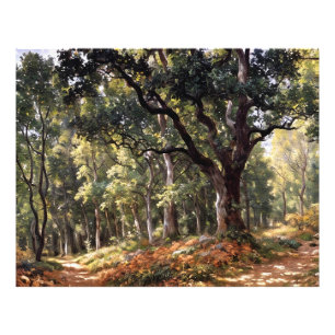 Impression Photo Bodmer Oak