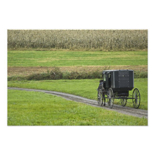 Impression Photo Boguet amish sur la ruelle de ferme, Ohio du