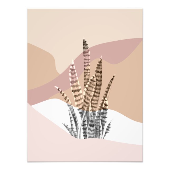 Impression Photo Boho Abstrait Moderne Succulent (Devant)