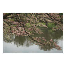 Bois de chien rose de 36 po x 24 po