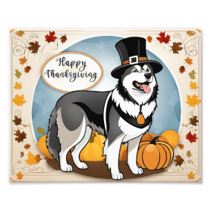 Impression Photo Bon thanksgiving de pèlerins de chiens malamuts de