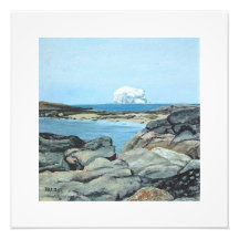 Bonnie Scotland Bass Rock North Berwick