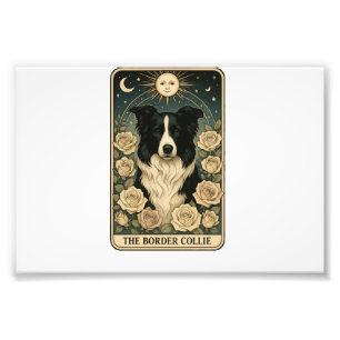 Impression Photo Border Collie