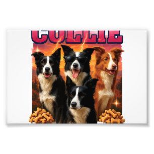 Impression Photo Border Collie Copie Copie Copie