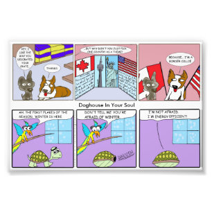 Impression Photo Border collie/de rendement optimum