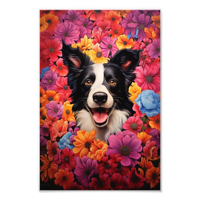 Impression Photo Bordure Collie en fleurs (Devant)