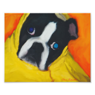 Impression Photo Boston Terrier dans un manteau de pluie jaune
