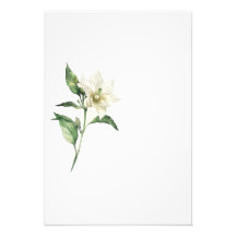 Botanical Red Pepper Watercolor Art Print-Stage1