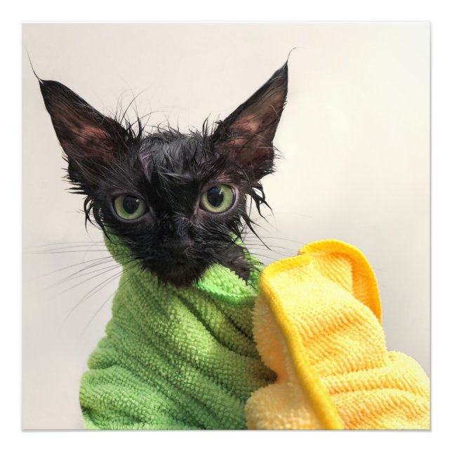 Impression Photo Boue, après le bain (Devant)